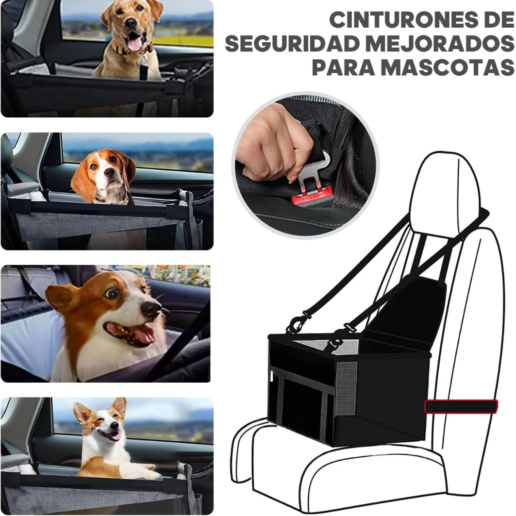 Viaje Seguro Mascotas – Kit Plegable 6 en 1