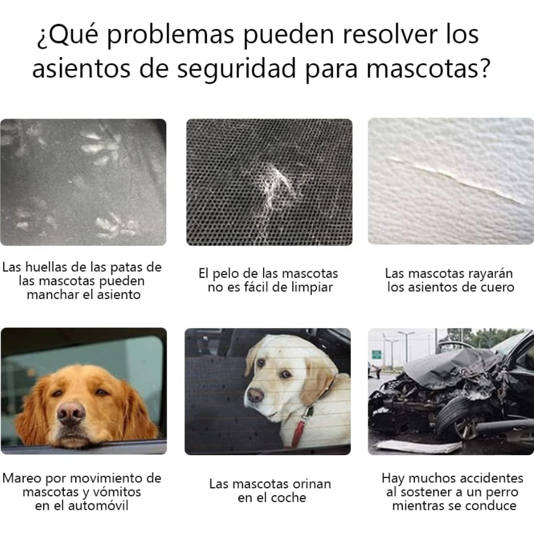 Viaje Seguro Mascotas – Kit Plegable 6 en 1